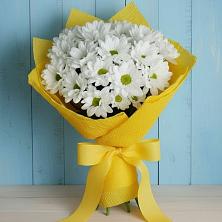 Букет цветов из:  Хризантемы в Сельниково