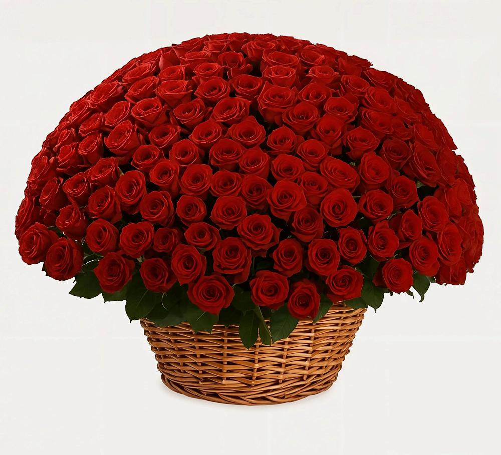 Премиум букет из: Розы в Сельниково