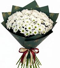Букет цветов из:  Хризантемы #REPLACE_PRED# Сельниково