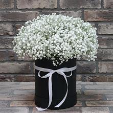 Цветочная композиция из Гипсофила в шляпной коробке в Сельниково