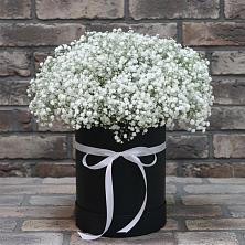 Цветочная композиция из Гипсофила в шляпной коробке в Сельниково