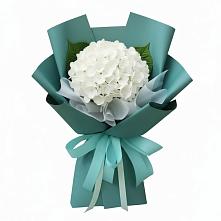 Букет цветов из:  Гортензия в Сельниково